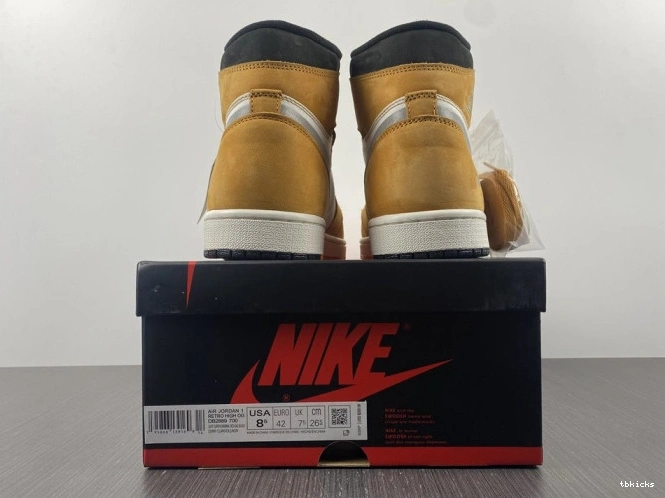 Rep TBK Light DB2889-700 Element Curry High Gore-Tex Jordan 1 0806